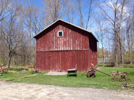 barn horse